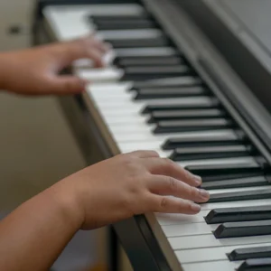 Individual - Harmonium Training